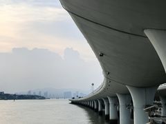 -演武大桥观景平台