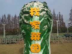 -上海长兴岛郊野公园