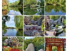 -上海共青森林公园