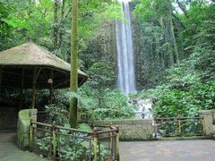 -新加坡飞禽公园