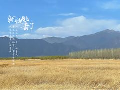 -野鸭湖国家湿地公园