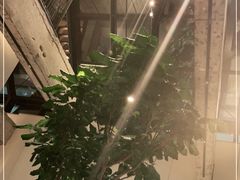 -大树餐厅(红旗街万达店)