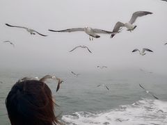 -海驴岛(荣成市)