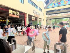 -苏州乐园森林水世界