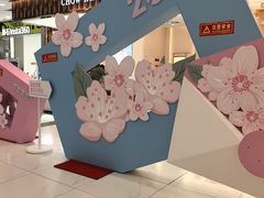 -凯德MALL(望京店)