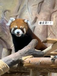 -Zoolung Zoolung动物主题公园(海信广场店)
