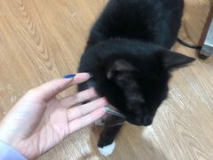 -荔康动物医院(康王北路店)