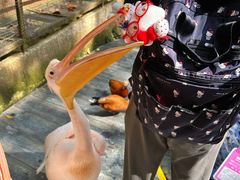 -海南槟榔谷黎苗文化旅游区