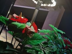 -城南老友羊蝎子火锅(花乡奥莱店)
