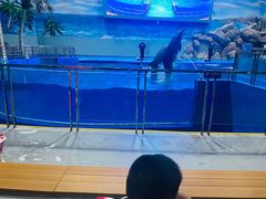 -福州罗源湾海洋世界旅游区