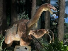 -陕西自然博物馆