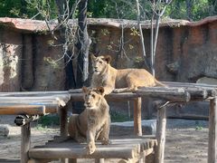 -北京野生动物园