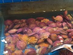 -集杰尚品海鲜烤肉自助餐厅(乳山振华店)