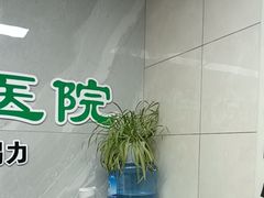 -半岛宠物医院24小时(白果林店)