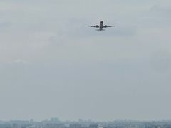 -空港花田景区
