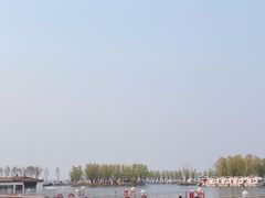-白洋淀景区