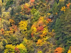 -硗碛藏寨·神木垒景区