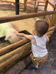 -Zoolung Zoolung动物主题公园(海信广场店)