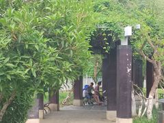 -沙河三洞古桥公园