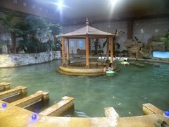 -陆地游轮吉林神农温泉