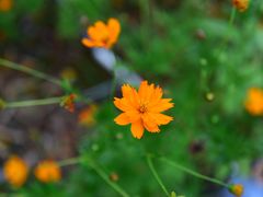 -帐篷客·溪龙茶谷度假酒店