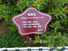 -仓颉陵遗址