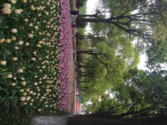 上海鲜花港-上海鲜花港