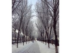 -乌鲁木齐房产大厦