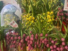 -山东嘉汇文化用品有限公司张店凤凰国际分公司(新村西路店)