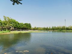 -永定河休闲森林公园