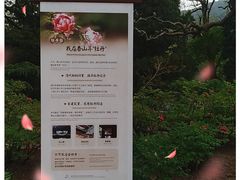 -香山公园