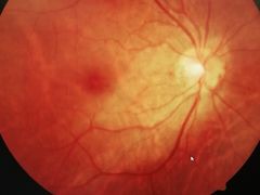 -宝岛眼镜(苏州浒关店)