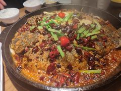 -老板恋上鱼(印象城店)