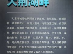 -岳阳市博物馆