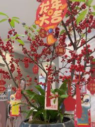 -深圳鹏爱秀琪医疗美容医院