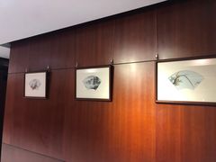 -广州长悦雷克萨斯