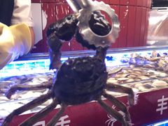 -四囍码头海鲜烧烤自助火锅(外滩南京东路悦荟广场店)