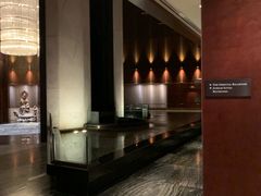 -新加坡乌节希尔顿酒店 (SG Clean)