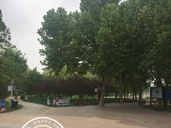 -泰丰公园