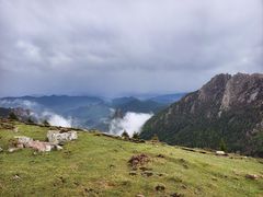 -芦芽山旅游度假区