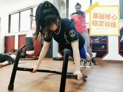 -温鉴良实用咏春拳