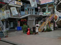 -猫咪博物馆(顶澳仔猫街店)