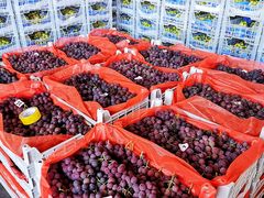 -西郊国际农产品交易中心