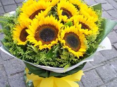 -霸王虾·麻辣小龙虾(清水河公园店)