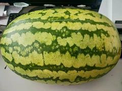 -海吉星市场