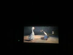 -万达影城(锦华万达广场IMAX店)