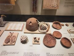 -美国自然历史博物馆