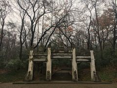 -灵谷景区
