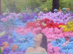 -洛阳白云山景区