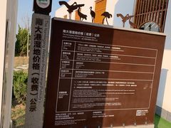 -南大港湿地风景区